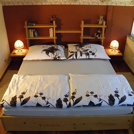 Ferienwohnung Langegger Apartment Mühlbach am Hochkönig