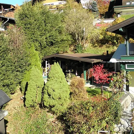 Apartment Ferienwohnung Langegger Mühlbach am Hochkönig